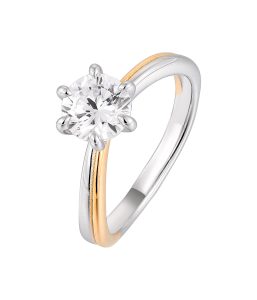 Two tone plating ring SR12387B